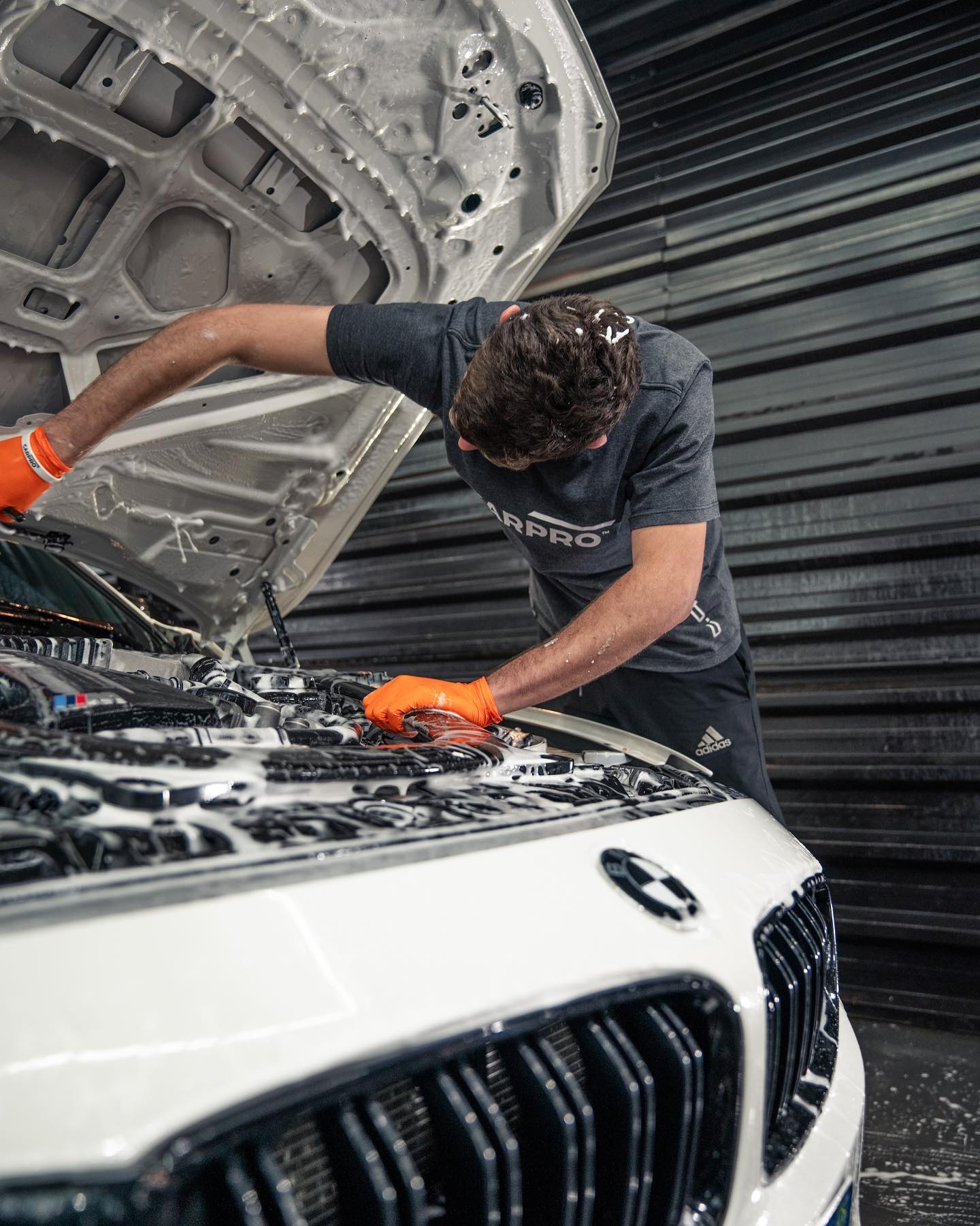 Lavação Nível 01 2